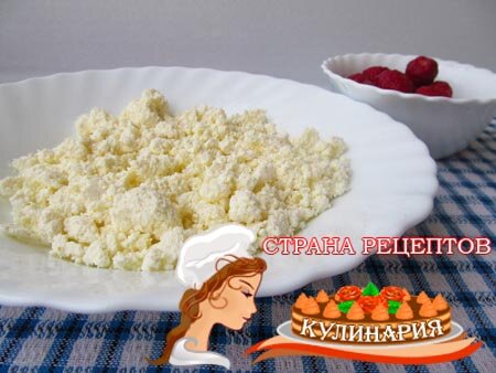 домашний творог
